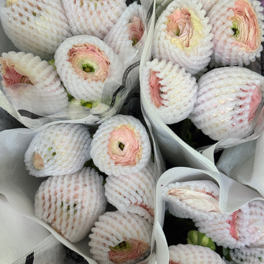 Ranunculus Premium