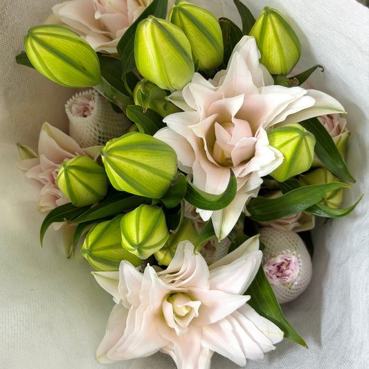 Rose Lily 4+ - Isabella