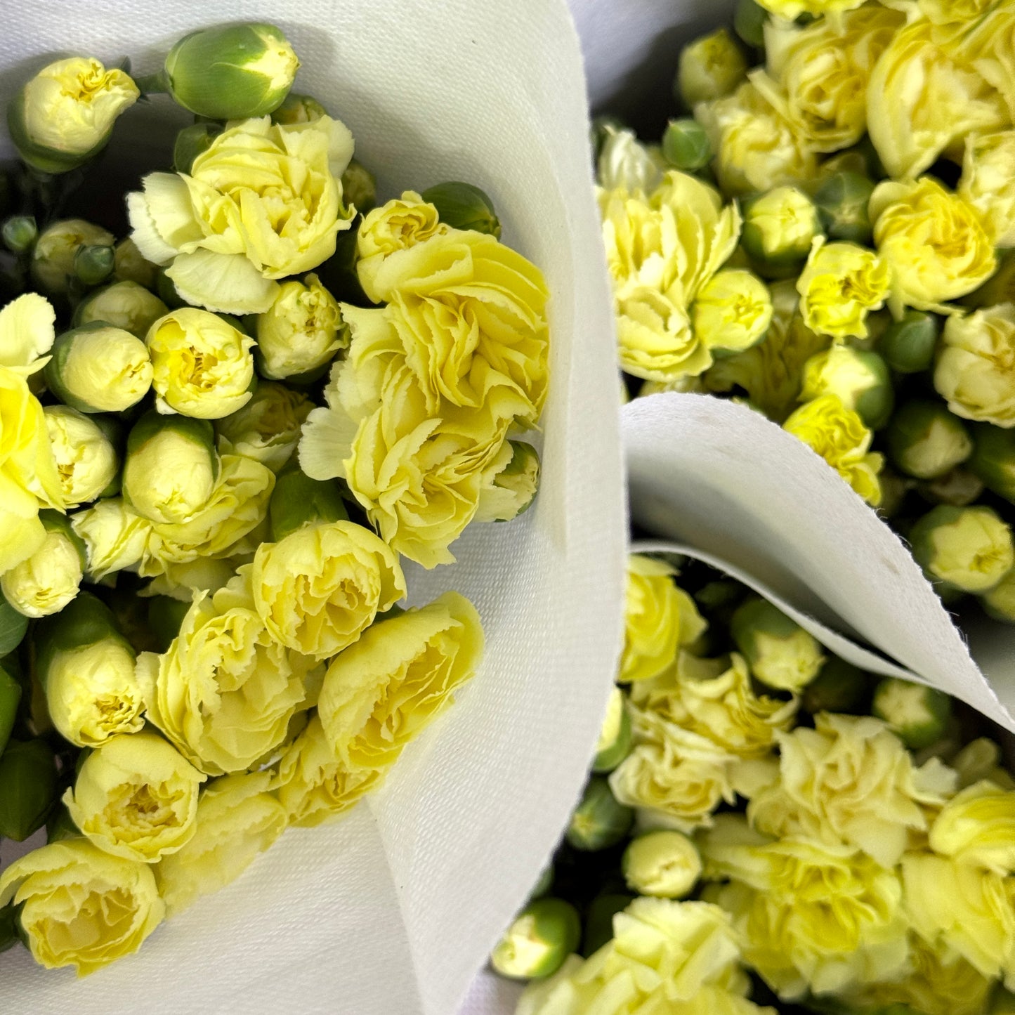 Carnation Spray - Yellow