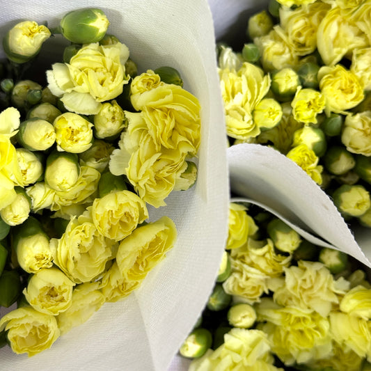 Carnation Spray - Yellow