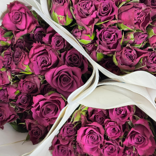 Rose Spray - Blue berry 蓝莓