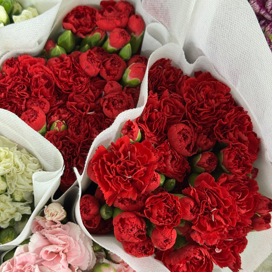 Carnation Spray - Red