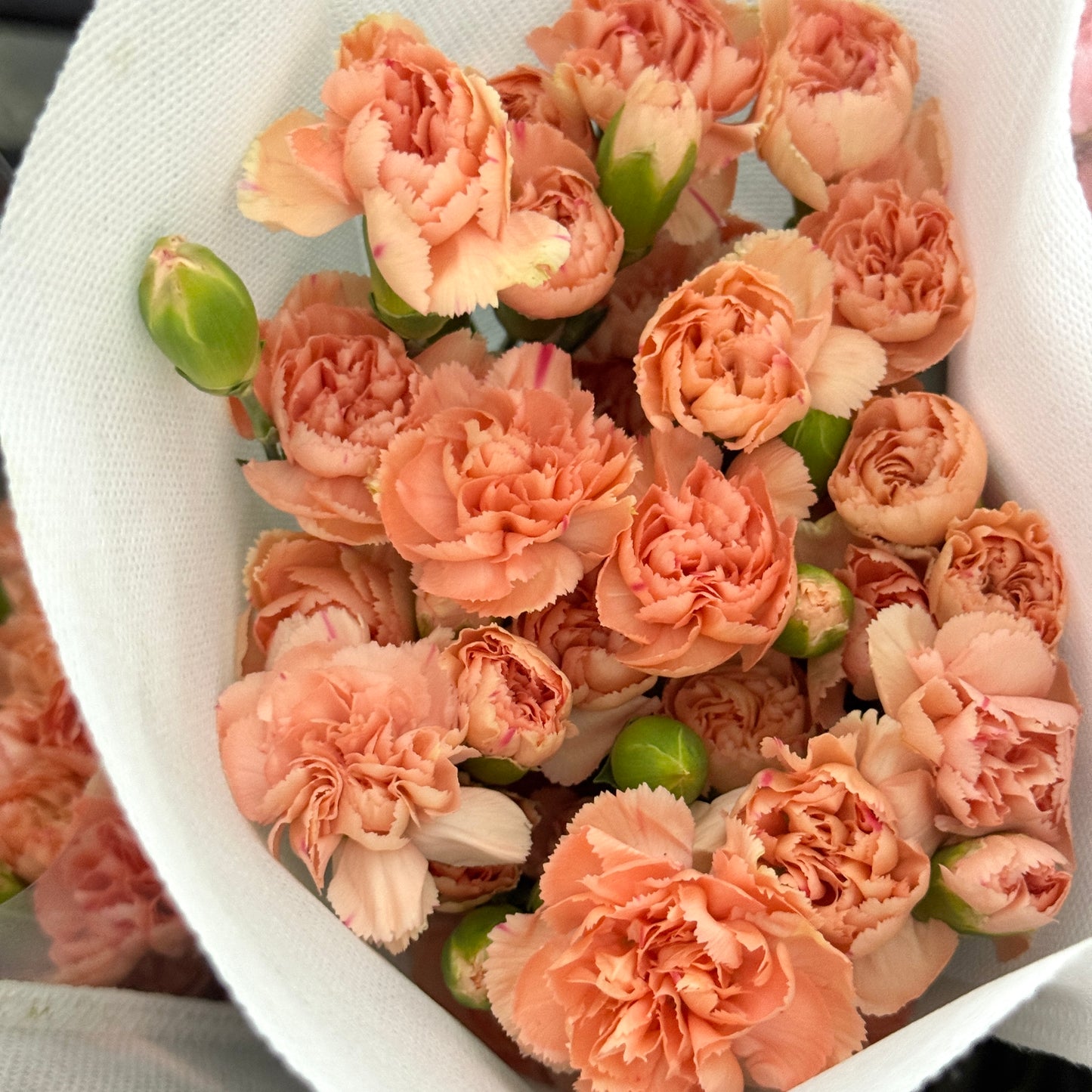 Carnation Spray - Light Orange