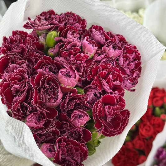 Carnation Spray - Dianthini 紫蝴蝶