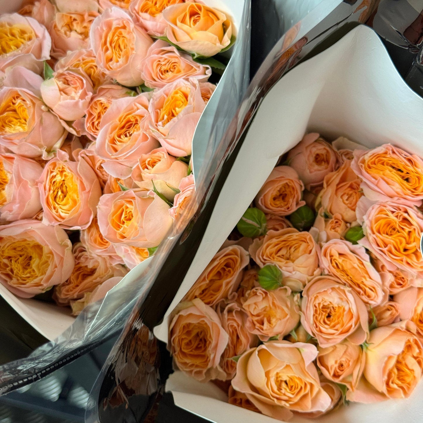 Rose Spray - Micky 米奇