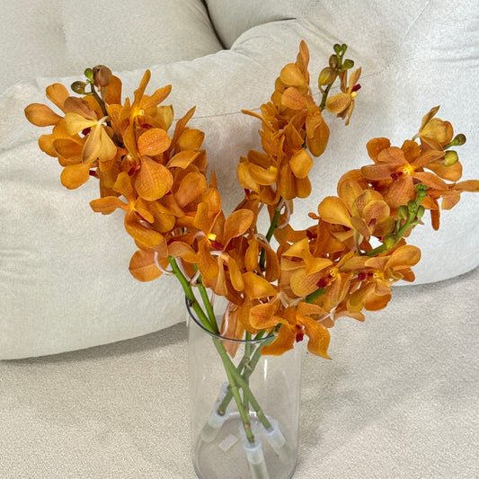 Orchid Mokara 50-54cm - Dark Orange