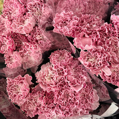 Carnation Dyed - Tian Mi Mi 甜蜜蜜