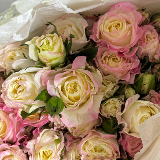 Rose Spray - Yue Yao 月瑶