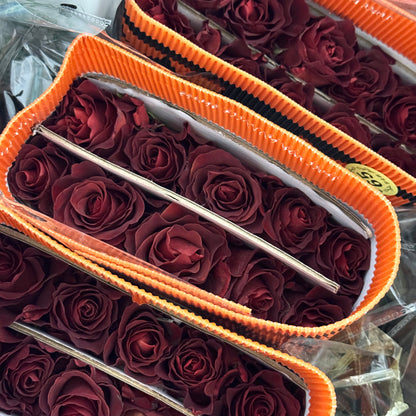 Rose - Amaretto 杏仁酒
