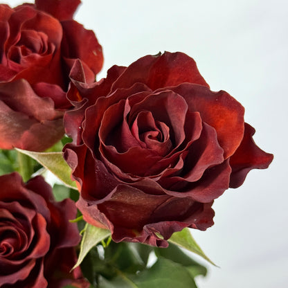 Rose - Amaretto 杏仁酒