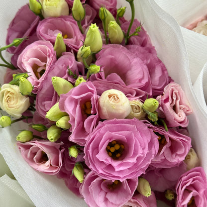 Eustoma (800g) - Pink