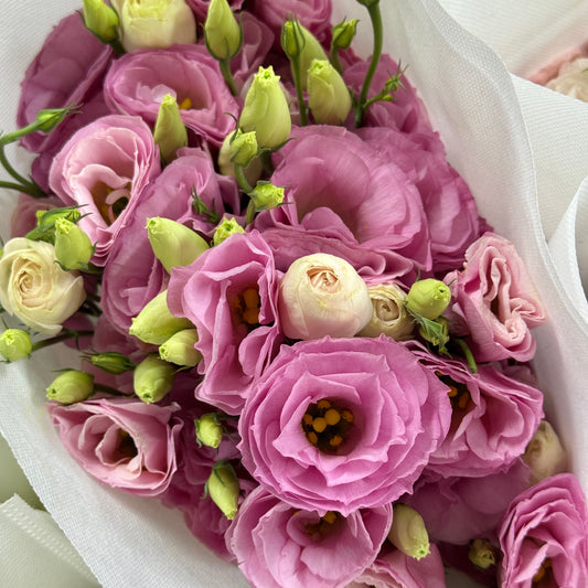 Eustoma (800g) - Pink
