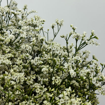 Caspia - White