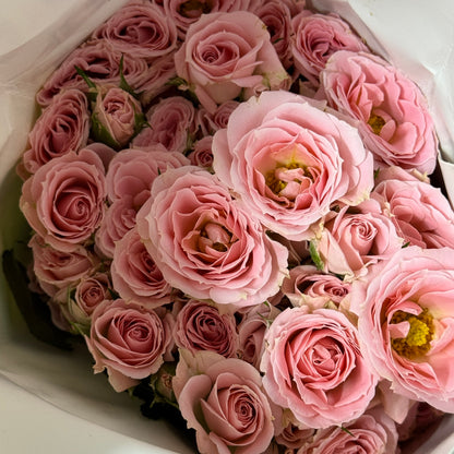 Rose Spray - Princess Lulu