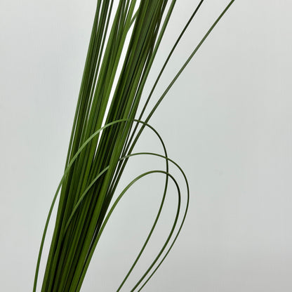 Steel Grass