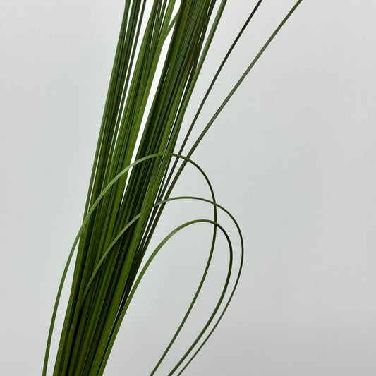 Steel Grass