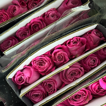 Rose - Sauvignon Blanc 长相思