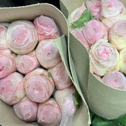 Rose Local AAA - Lychee Pink